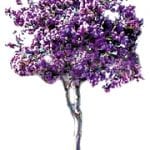 article image - 